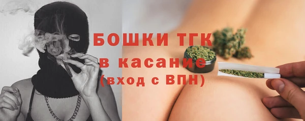 молекула духа Краснослободск