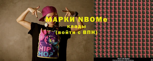 молекула духа Краснослободск