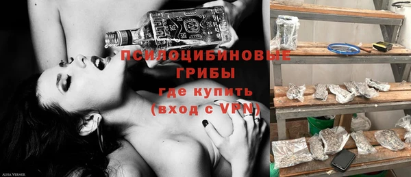 молекула духа Краснослободск