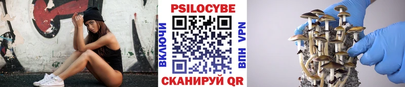 OMG зеркало  Кирсанов  Галлюциногенные грибы прущие грибы 
